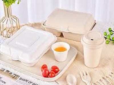 تصویر 5 از خرید و قیمت ظرف دو خانه گیاهی + فروش عمده